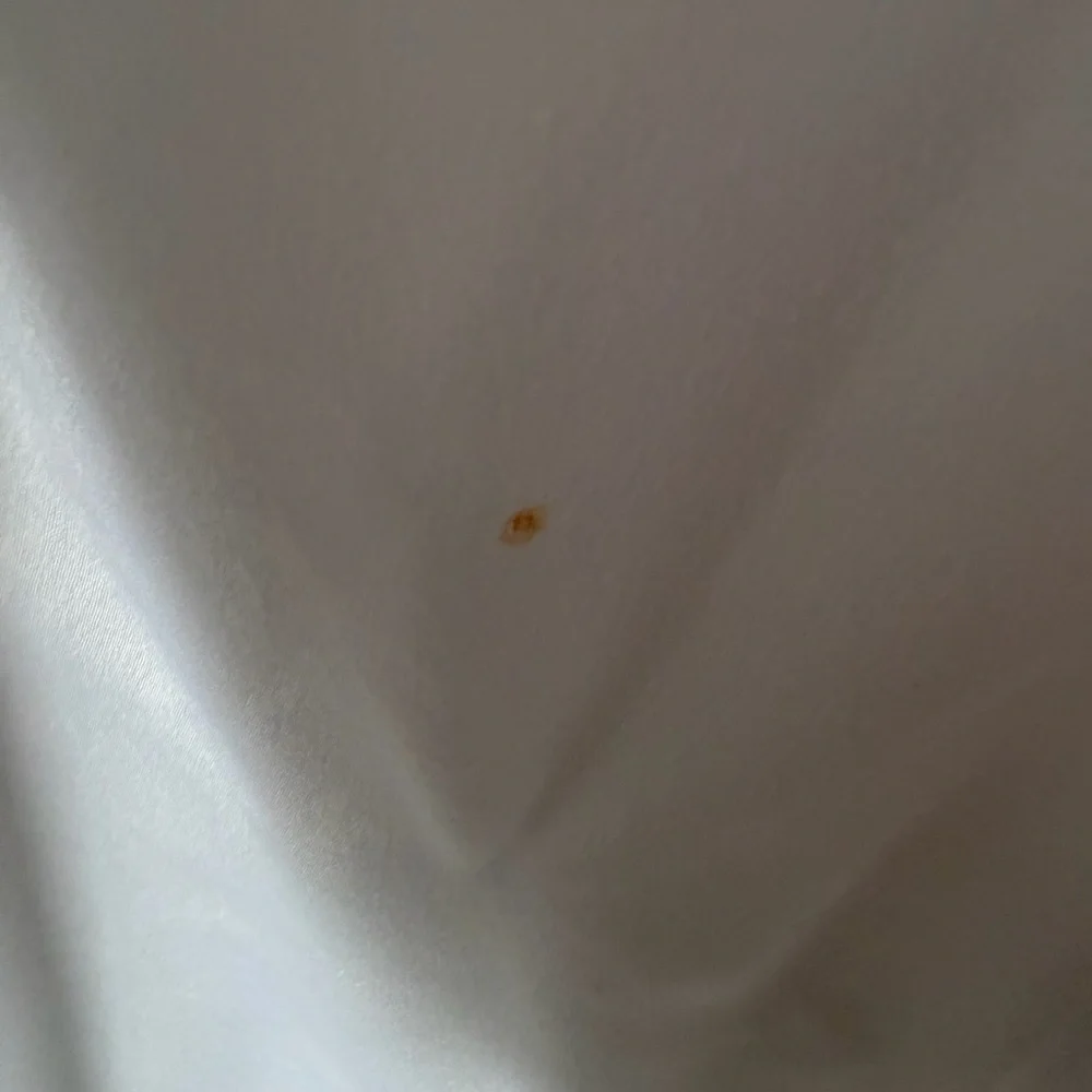 Bridal Robe with Train - Picture 9 of 9